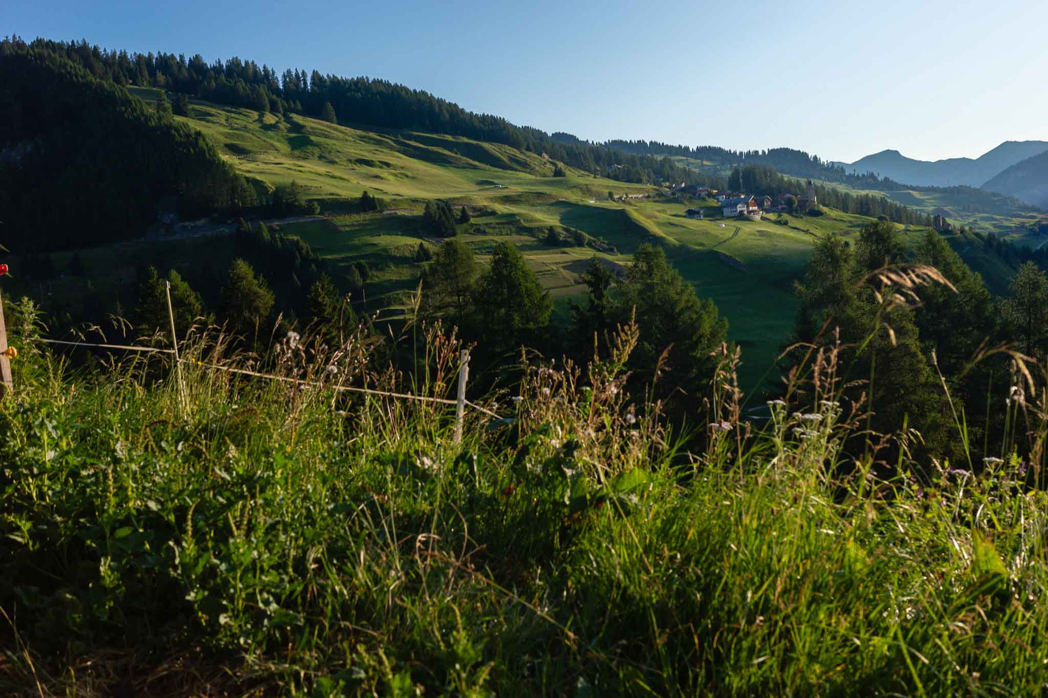 Sommerliche Alpweide im Morgenlicht mit Bergen im Hintergrund, Schweiz